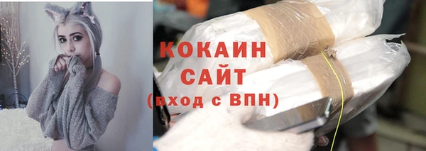 спайс Алексин