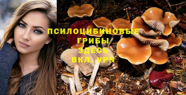 MESCALINE Алексеевка