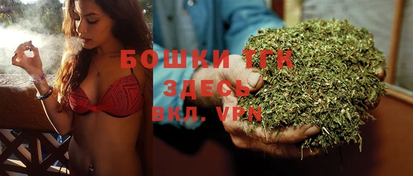 спайс Алексин
