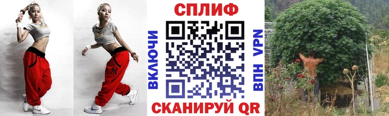 Бошки Шишки семена  где купить   МЕГА зеркало  дарк нет как зайти  Сельцо 